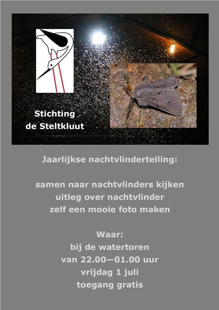 VRIJDAGNACHT 1 JULI BIJ DE WATERTOREN