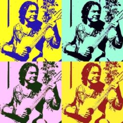 GITARIST HERMAN SMIES LIVE