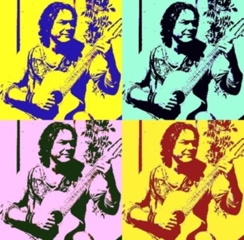 GITARIST HERMAN SMIES LIVE