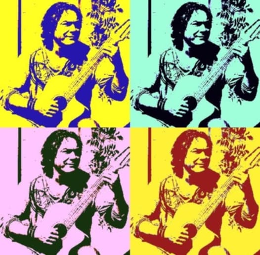 Gitarist herman smies live